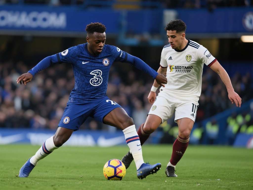 技术的快速 技术的快速